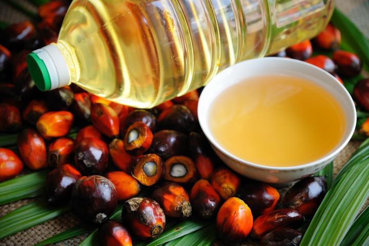 Доказано: Палмовото масло увеличава риска от метастази